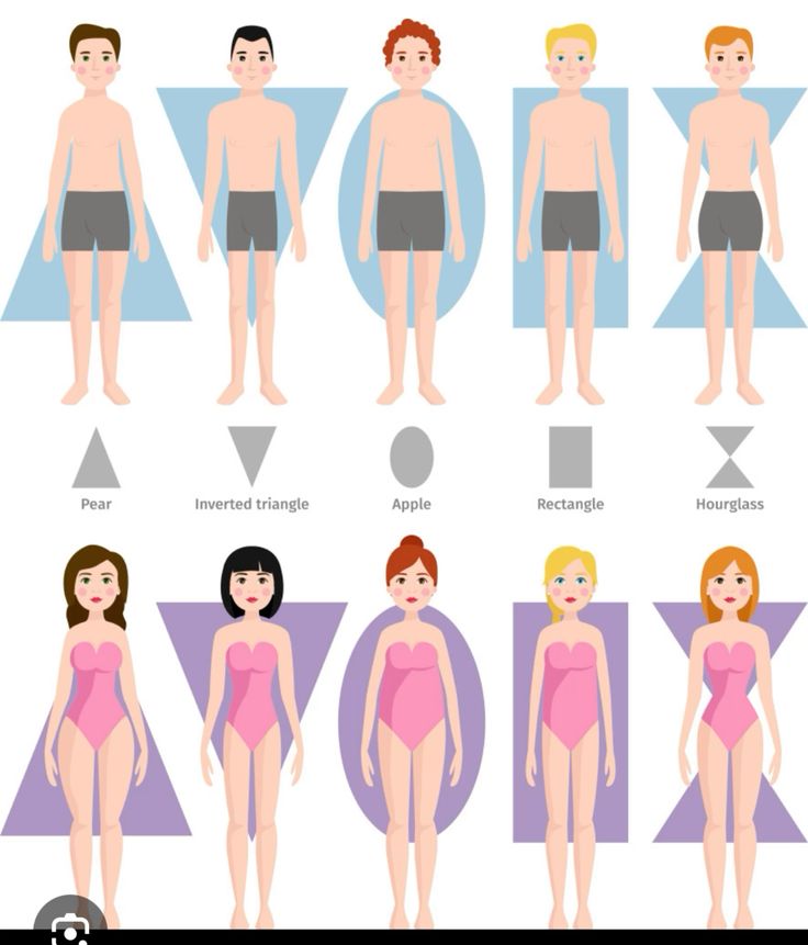 body shapes